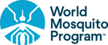 dynamo languages courses languages partner worldposquito - 1
