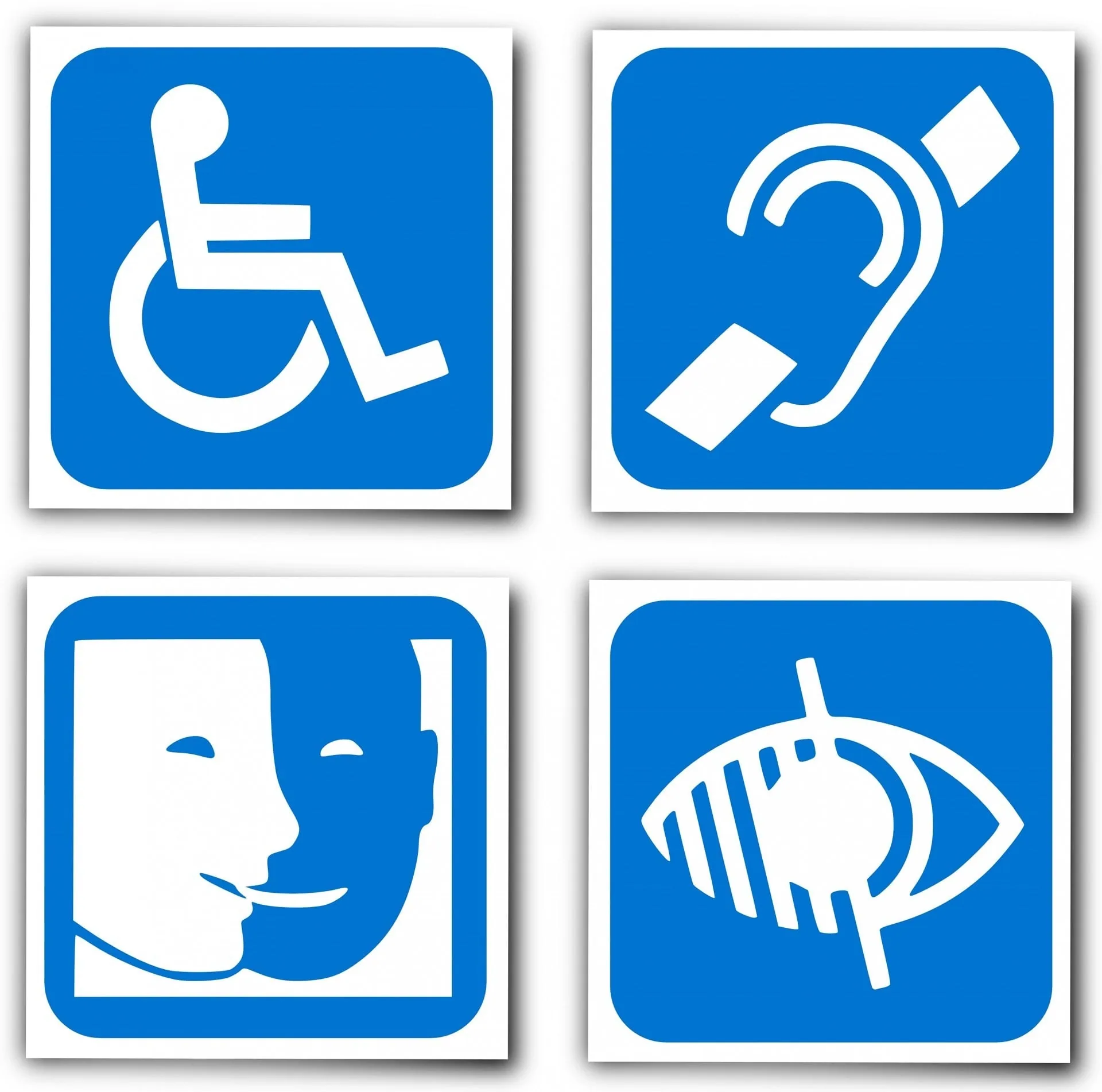 dynamo langues fiche handicap